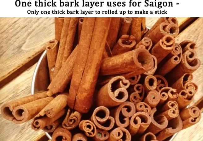 Saigon-cinnamon