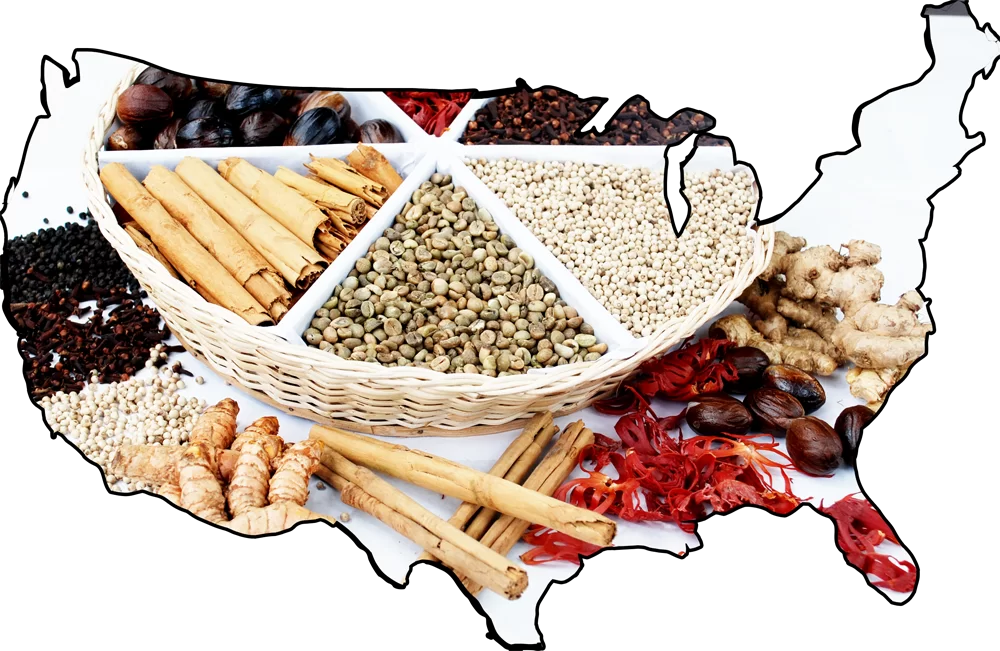 Spices-In-the-USA