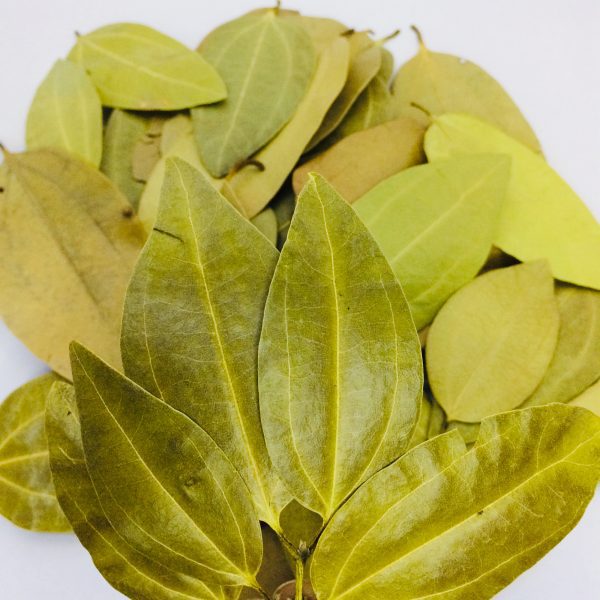 cinnamon-leaves-1.jpg