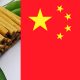 Ceylon Cinnamon Exports to China